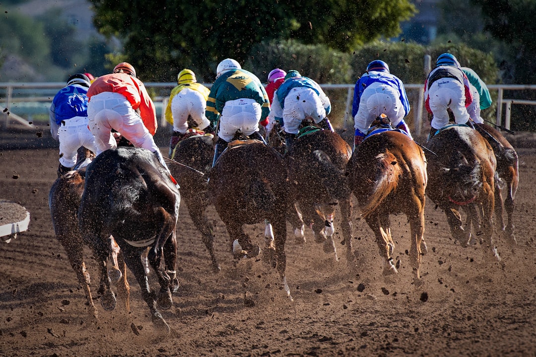 Photo Horse race